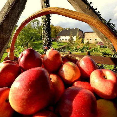 Séjour à la ferme Folwark Karpno *